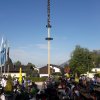 Maibaum 2019